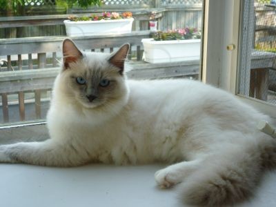 Skye 2